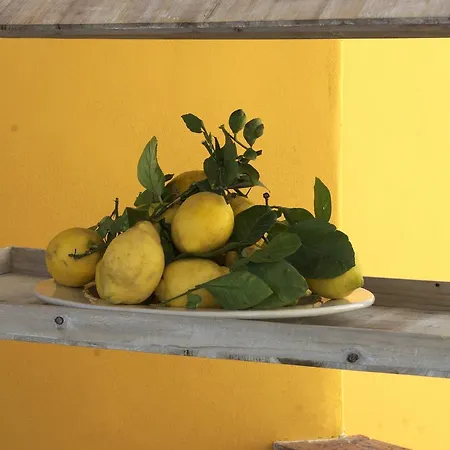Frühstückspension La Terrazza Sul Mare Capri