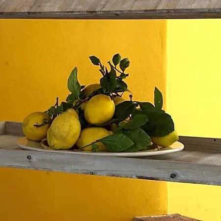 Couette-café La Terrazza Sul Mare