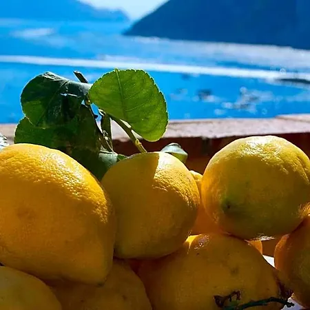 Couette-café La Terrazza Sul Mare 4*