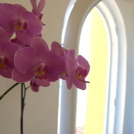 La Terrazza Sul Mare 4* Капри