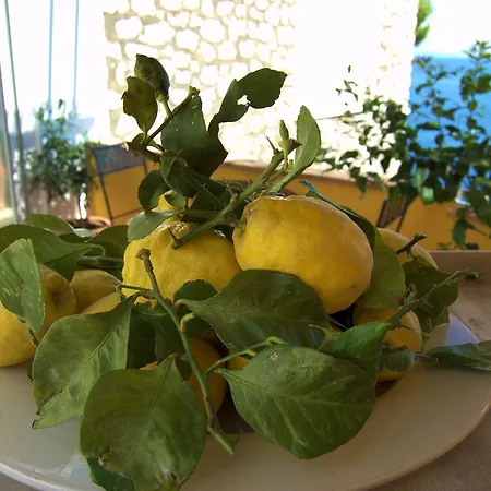 La Terrazza Sul Mare Bed & Breakfast Capri