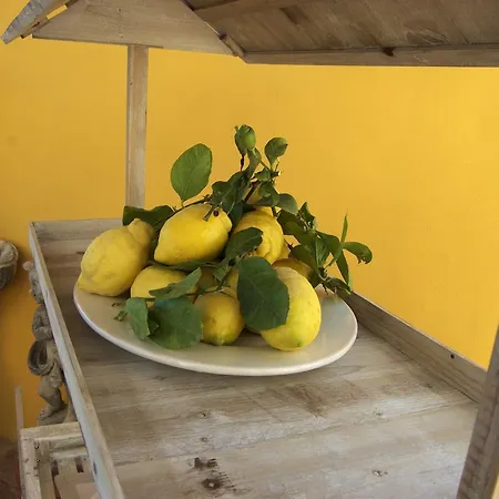 Bed & Breakfast La Terrazza Sul Mare 4*