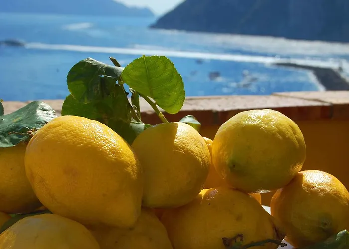 La Terrazza Sul Mare Bed & Breakfast