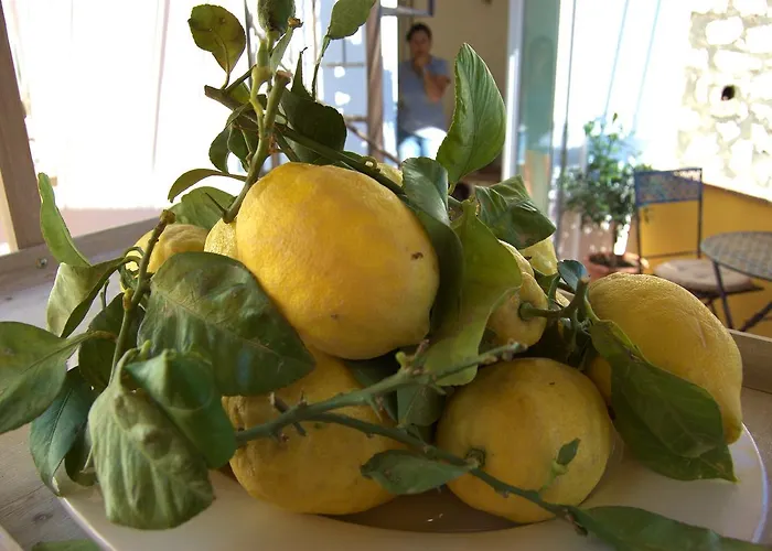 Bed & Breakfast La Terrazza Sul Mare 4*