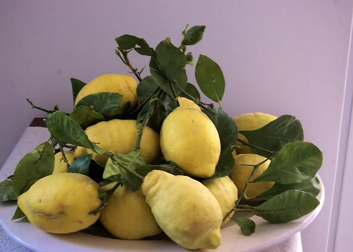 Oda ve Kahvaltı La Terrazza Sul Mare