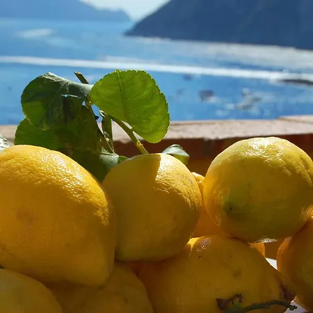 La Terrazza Sul Mare Bed & Breakfast