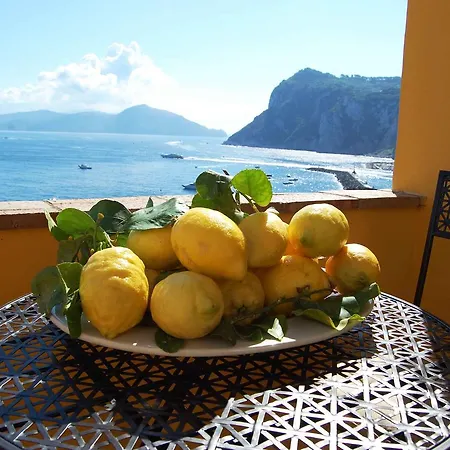 La Terrazza Sul Mare Bed & Breakfast