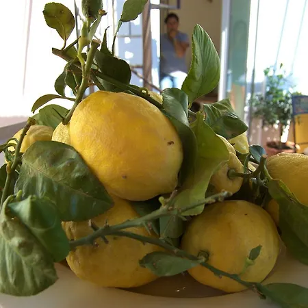 Bed & Breakfast La Terrazza Sul Mare 4*