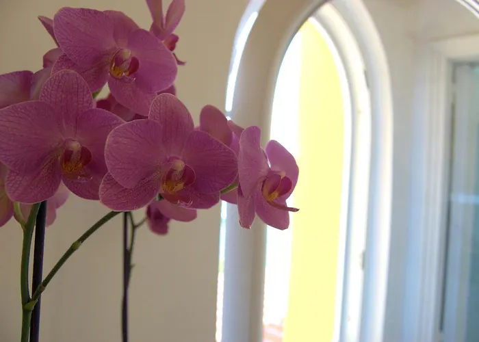 La Terrazza Sul Mare 4* كابري