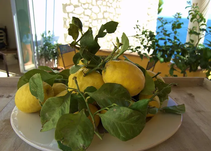 La Terrazza Sul Mare فندق مبيت وإفطار كابري